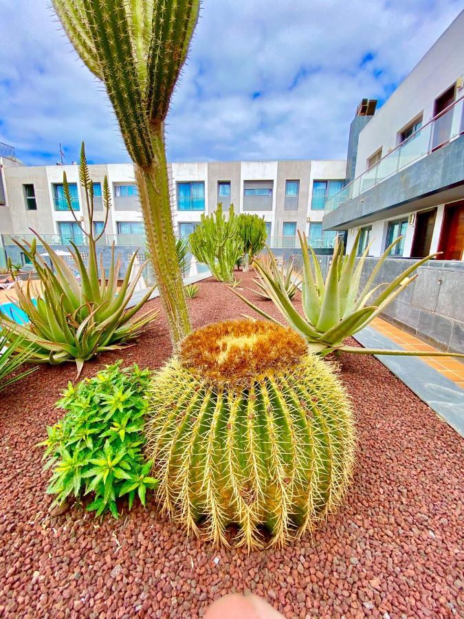 Mar de Fuerteventura 2 Appartement Corralejo Buitenkant foto